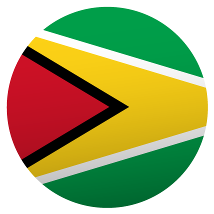 bandera guyana