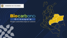 La ICDE asesora y capacita al Proyecto Biocarbono Orinoquia – Paisajes sostenibles, IDE Orinoquia
